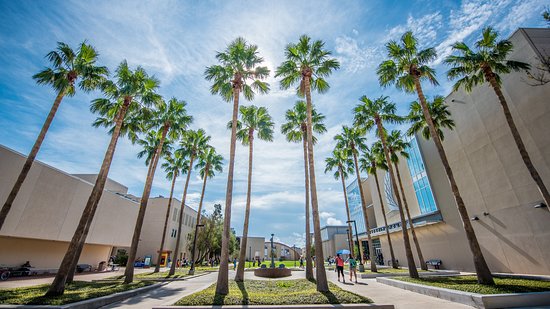 Corpus Christi Texas A&M