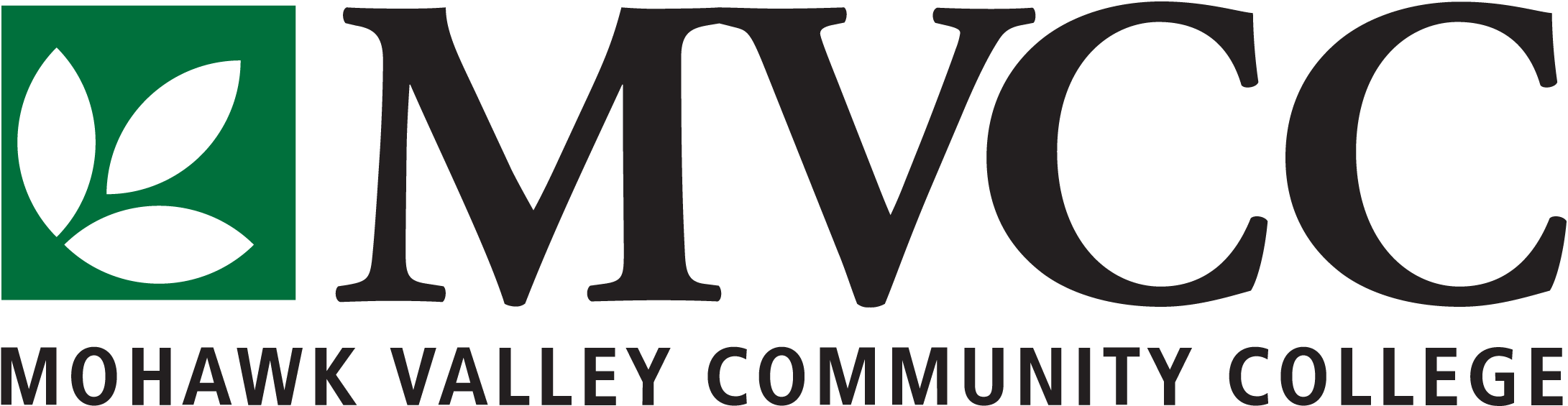 Mohawk Valley CC