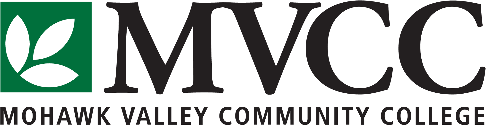 Mohawk Valley CC