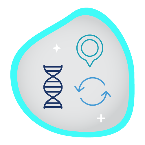 bg-solution-pathway-alignment