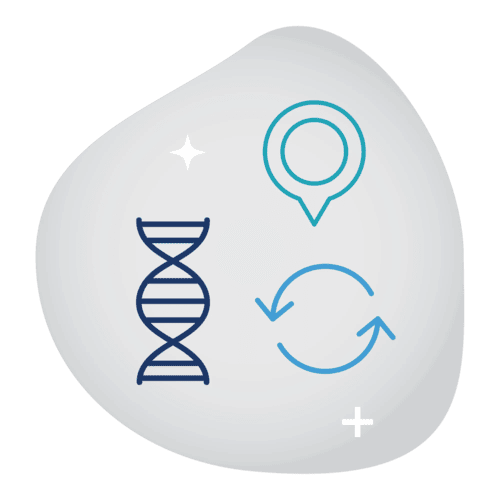 solution-pathway-alignmen-t